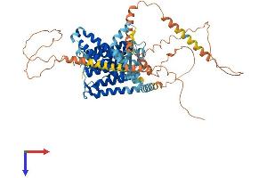 AlphaFold protein structure predicition of Human Recombinant SLC24A2 Protein, UniprotID Q9UI40 (SLC24A2 Protein (AA 1-661) (His tag))