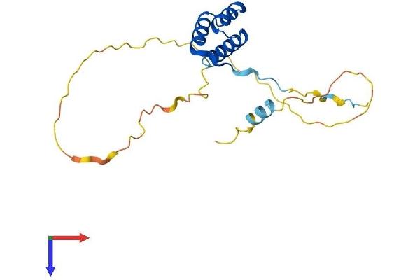 SEBOX Protein (AA 1-190) (His tag)