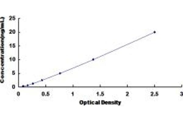 ZP2 ELISA Kit