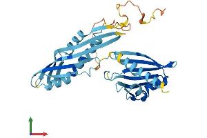 AlphaFold protein structure predicition of Mouse Recombinant Ahsa2 Protein, UniprotID Q8N9S3 (AHSA2 Protein (AA 1-331) (His tag))