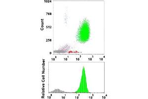 Flow cytometric analysis of human normal whole blood with MME monoclonal antibody, clone HI10a (APC) . (MME antibody  (APC))