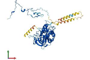 AlphaFold protein structure predicition of Mouse Recombinant Eif3d Protein, UniprotID O70194