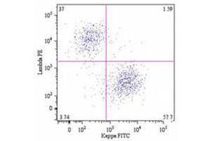 Flow Cytometry (FACS) image for Mouse anti-Human Ig (Chain lambda), (Light Chain) antibody (ABIN487444) (Mouse anti-Human Ig (Chain lambda), (Light Chain) Antibody)