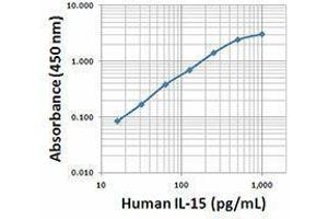 ELISA image for anti-Interleukin 15 (IL15) antibody (Biotin) (ABIN2660774) (IL-15 antibody  (Biotin))