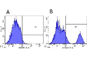 Flow-cytometry using the anti-CD20 research biosimilar antibody Rituximab   Cynomolgus monkey lymphocytes were stained with an isotype control (panel A) or the rabbit-chimeric version of Rituximab (panel B) at a concentration of 1 µg/ml for 30 mins at RT. (Recombinant MS4A1 (Rituximab Biosimilar) antibody)