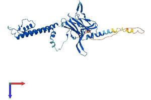 AlphaFold protein structure predicition of Human Recombinant KCNJ9 Protein, UniprotID Q92806 (KCNJ9 Protein (AA 1-393) (His tag))