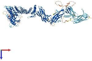AlphaFold protein structure predicition of Human Recombinant TRAPPC9 Protein, UniprotID Q96Q05 (TRAPPC9 Protein (AA 1-1148) (His tag))