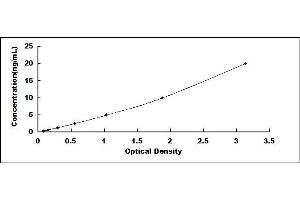 Typical standard curve (Annexin VIII ELISA Kit)