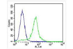 Overlay histogram showing Hela cells stained with (ABIN655895 and ABIN2845295) (green line). (DDIT3 antibody  (C-Term))