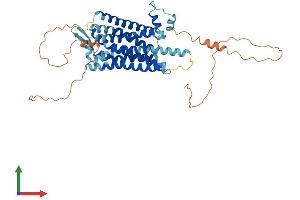 Protein Structure (PS) image for Tachykinin Receptor 3 (TACR3) (AA 1-452) protein (His tag) (ABIN7563298)