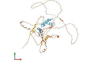 AlphaFold protein structure predicition of Human Recombinant KLF5 Protein, UniprotID Q13887 (KLF5 Protein (AA 1-457) (His tag))