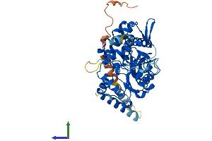 AlphaFold protein structure predicition of Human Recombinant NT5DC4 Protein, UniprotID Q86YG4 (NT5DC4 Protein (AA 1-428) (His tag))