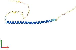 AlphaFold protein structure predicition of Mouse Recombinant Cebpg Protein, UniprotID P53568