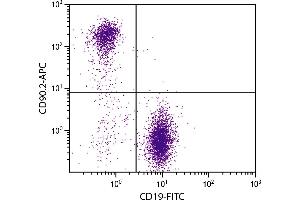 BALB/c mouse splenocytes were stained with Rat Anti-Mouse CD90. (CD90.2 / Thy-1.2 antibody)