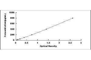 Typical standard curve (Klotho ELISA Kit)