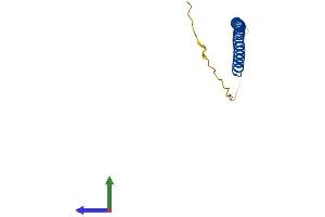 AlphaFold protein structure predicition of Human Recombinant TEX12 Protein, UniprotID Q9BXU0