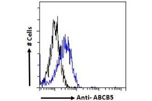 Flow cytometric analysis of paraformaldehyde fixed HepG2 cells (blue line), permeabilized with 0. (ABCB5 antibody  (Internal Region))