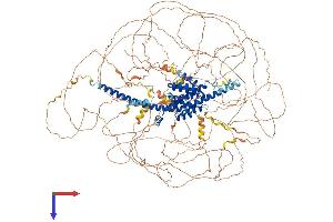 AlphaFold protein structure predicition of Mouse Recombinant Rprd2 Protein, UniprotID Q6NXI6 (RPRD2 Protein (AA 1-1469) (His tag))