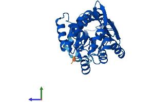 AlphaFold protein structure predicition of Human Recombinant HNMT Protein, UniprotID P50135 (HNMT Protein (AA 1-292) (His tag))