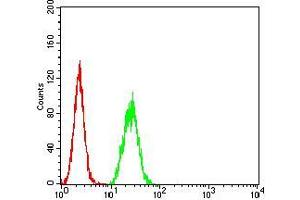 Flow cytometric analysis of Hela cells using CPV-VP2 mouse mAb (green) and negative control (red). (CPV-VP2 (AA 1-128) antibody)