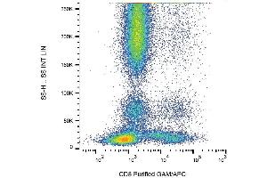 Surface staining of human buffy coat with anti-human CD8 (LT8) purified / GAM-APC. (CD8 antibody)