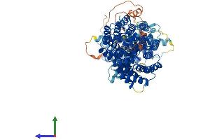 AlphaFold protein structure predicition of Human Recombinant TTC7B Protein, UniprotID Q86TV6 (TTC7B Protein (AA 1-843) (His tag))