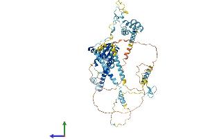 Protein Structure (PS) image for PRP3 Pre-mRNA Processing Factor 3 Homolog (PRPF3) (AA 1-683) protein (His tag) (ABIN7551048)
