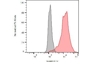 Flow cytometry analysis (surface staining) of CD80 transfected P815 cells using anti-human CD80 (MEM-233) FITC antibody (red, concentration in sample 3 μg/mL) with blank sample (grey). (CD80 antibody  (Extracellular Domain) (FITC))