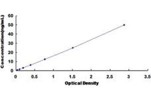 SLC16A3 ELISA Kit