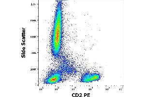 Flow cytometry surface staining pattern of human peripheral whole blood stained using anti-human CD2 (TS1/8) PE antibody (10 μL reagent / 100 μL of peripheral whole blood). (CD2 antibody  (PE))