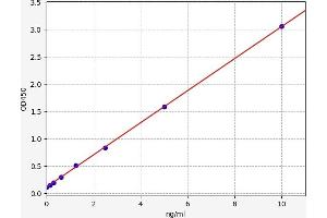 ATF3 ELISA Kit