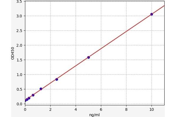 ATF3 ELISA Kit