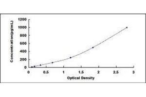 Telomerase Reverse Transcriptase (TERT) ELISA Kit