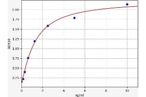 Dermatopontin (DPT) ELISA Kit