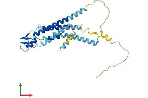 Protein Structure (PS) image for Gap Junction Protein, beta 3, 31kDa (GJB3) (AA 1-270) protein (His tag) (ABIN7546943)