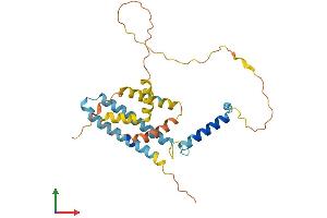 AlphaFold protein structure predicition of Human Recombinant CCDC28A Protein, UniprotID Q8IWP9 (CCDC28A Protein (AA 1-274) (His tag))