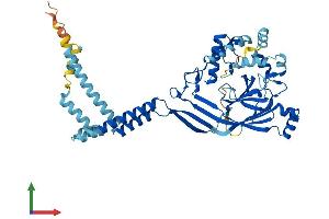 Protein Structure (PS) image for Amiloride-Sensitive Cation Channel 5, Intestinal (ACCN5) (AA 1-495) protein (His tag) (ABIN7556205)