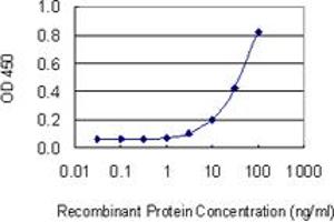 Detection limit for recombinant GST tagged OLFM1 is 1 ng/ml as a capture antibody. (Olfactomedin 1 antibody  (AA 1-169))