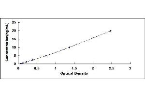 Typical standard curve (SQSTM1 ELISA Kit)