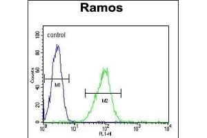HIP1R Antibody (N-term) (ABIN655061 and ABIN2844690) flow cytometric analysis of Ramos cells (right histogram) compared to a negative control cell (left histogram). (HIP1R antibody  (N-Term))