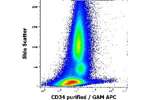 Flow cytometry surface staining pattern of human peripheral whole blood stained using anti-human CD34 (QBEnd-10) purified antibody (concentration in sample 0,6 μg/mL, GAM APC).