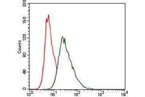 Flow cytometric analysis of HeLa cells using HSF4 mouse mAb (green) and negative control (red). (HSF4 antibody)