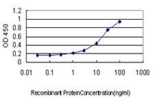 Detection limit for recombinant GST tagged ATF3 is approximately 1ng/ml as a capture antibody. (ATF3 antibody  (AA 1-181))