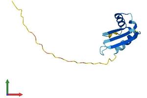 AlphaFold protein structure predicition of Mouse Recombinant Bola3 Protein, UniprotID Q8CEI1
