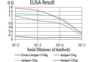 Black line: Control Antigen (100 ng);Purple line: Antigen (10ng); Blue line: Antigen (50 ng); Red line:Antigen (100 ng) (SOD2 antibody  (AA 1-222))