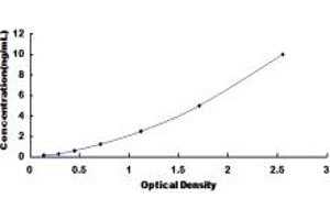 Typical standard curve (SDHB ELISA Kit)