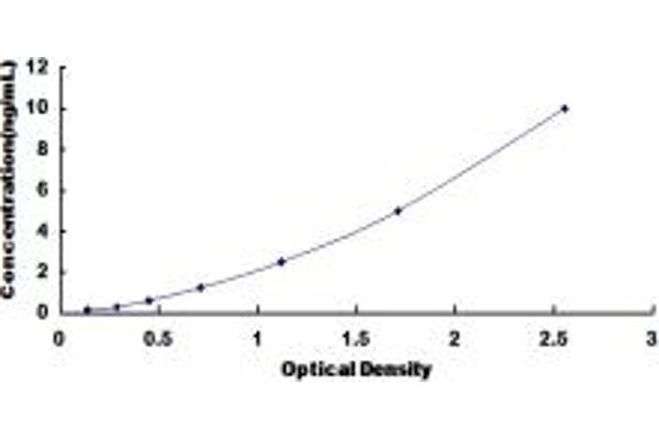 SDHB ELISA Kit