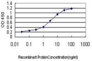 Detection limit for recombinant GST tagged PLCL2 is approximately 0.