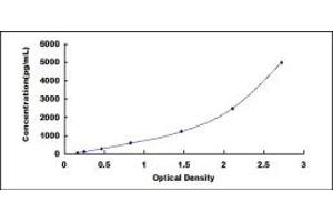 Typical standard curve (BST1 ELISA Kit)