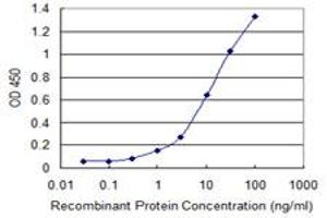 Detection limit for recombinant GST tagged PAK2 is 0. (PAK2 antibody  (AA 131-230))